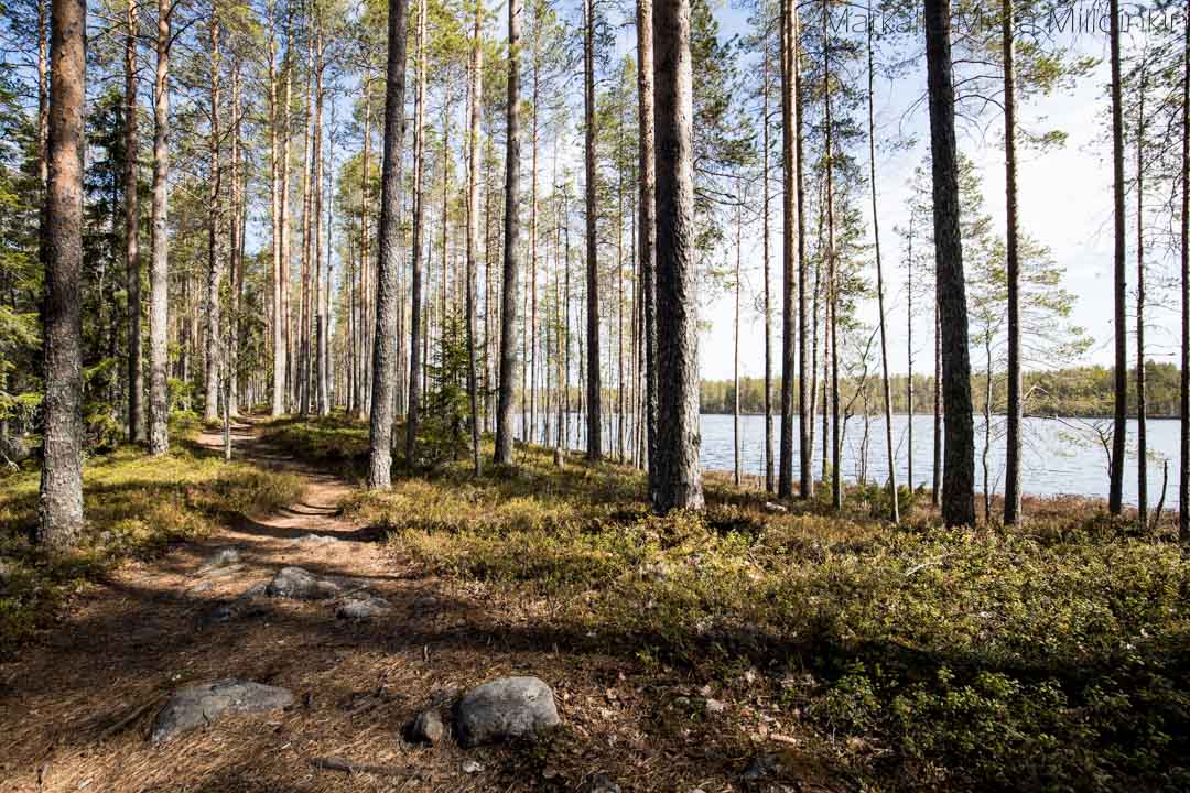 Tiilikkajärven kansallispuisto Uiton kierto