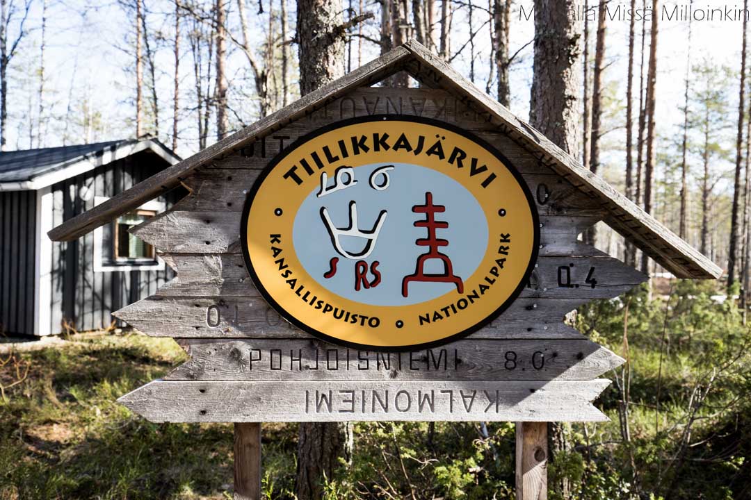Tiilikkajärven kansallispuisto Sammakkotammi