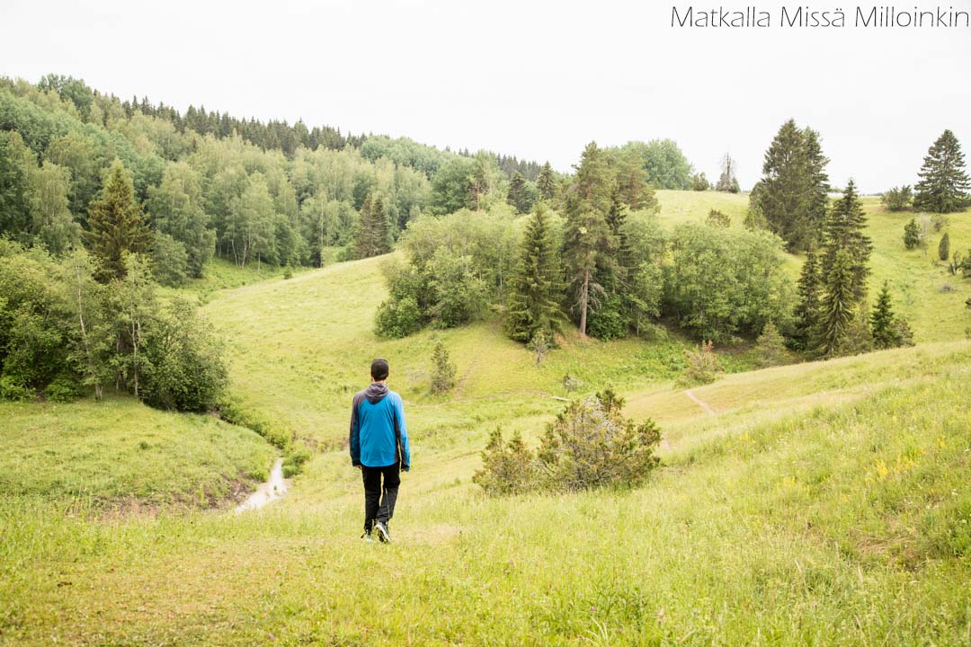 Häntälän notkot, Somero