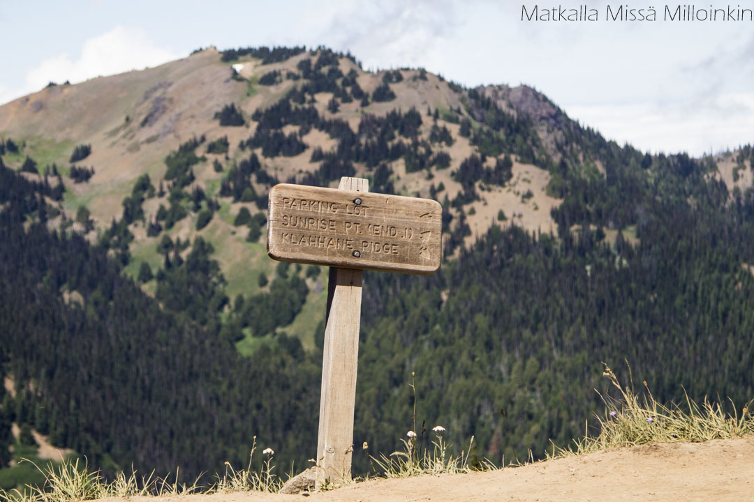 Olympicin kansallispuisto, Sunrise Point, Hurrigane Ridge