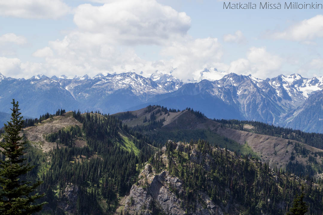 Olympicin kansallispuisto, Klahhane Ridge