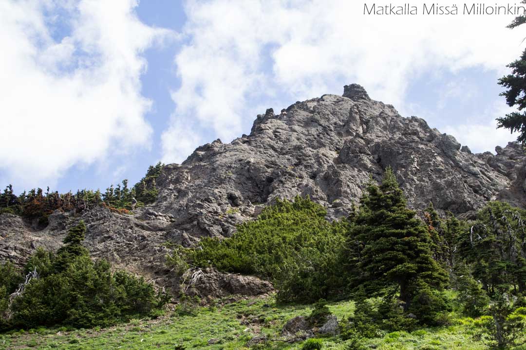 Olympicin kansallispuisto Yhdysvalloissa, Angeles-vuori