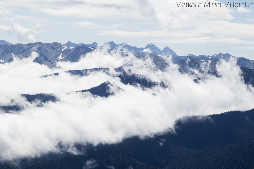 Olympicin kansallispuisto Yhdysvalloissa, Angeles-vuori