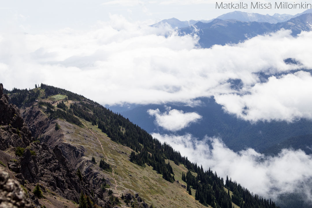 Olympicin kansallispuisto Yhdysvalloissa, Angeles-vuori
