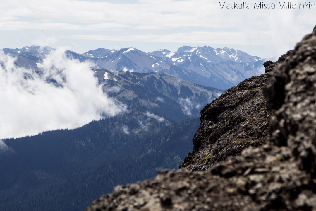 Olympicin kansallispuisto Yhdysvalloissa, Angeles-vuori