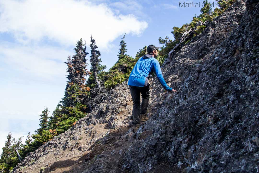 Olympicin kansallispuisto Yhdysvalloissa, Angeles-vuori