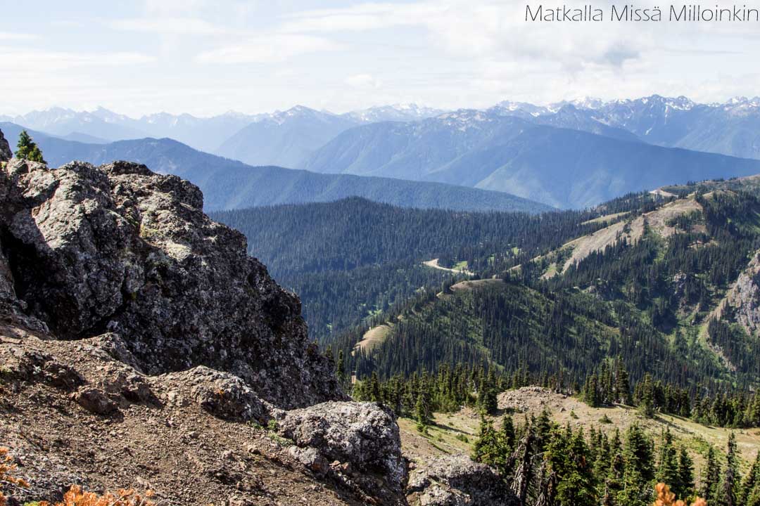 Olympicin kansallispuisto