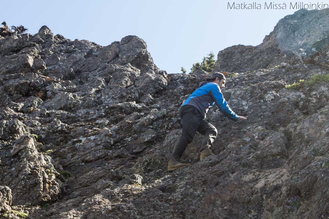Olympicin kansallispuisto Yhdysvalloissa, Angeles-vuori