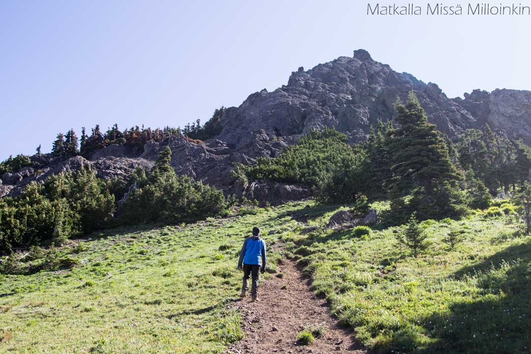 Olympicin kansallispuisto Yhdysvalloissa, Angeles-vuori