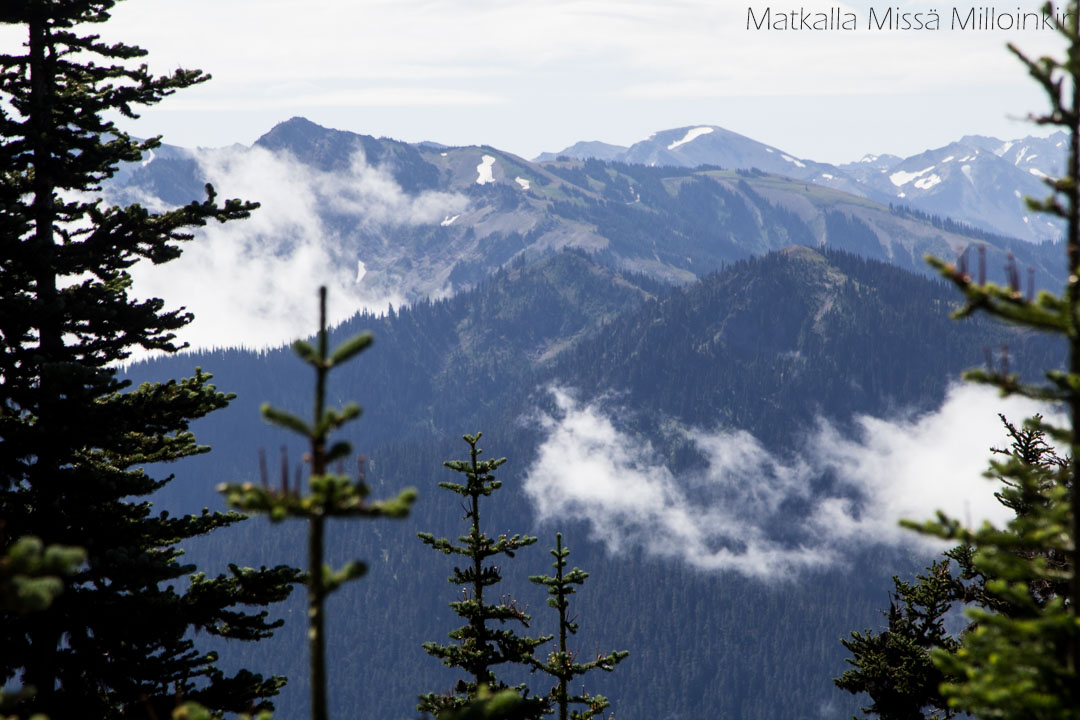 Tiilikkajärven kansallispuisto, Uiton kierto