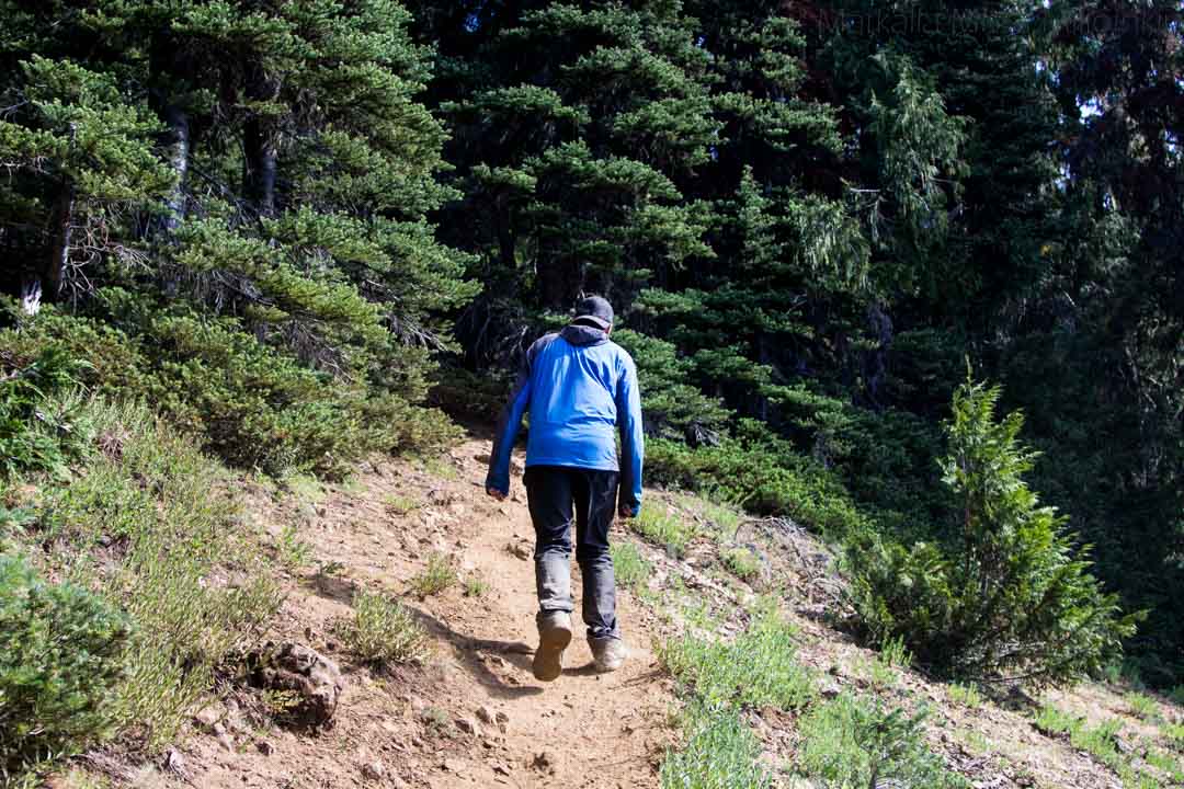 Olympicin kansallispuisto Yhdysvalloissa, Angeles-vuori