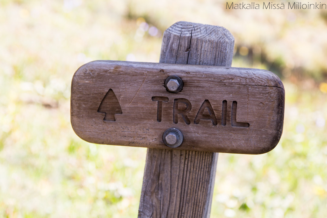 Klahhane Ridge ja Angeles-vuori, Olympicin kansallispuisto Yhdysvallat