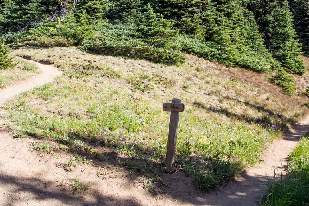 Klahhane Ridge ja Angeles-vuori, Olympicin kansallispuisto Yhdysvallat