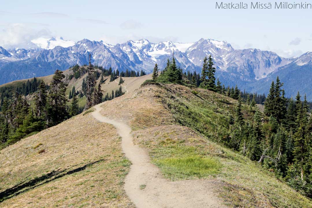 Olympicin kansallispuisto, Klahhane Ridge