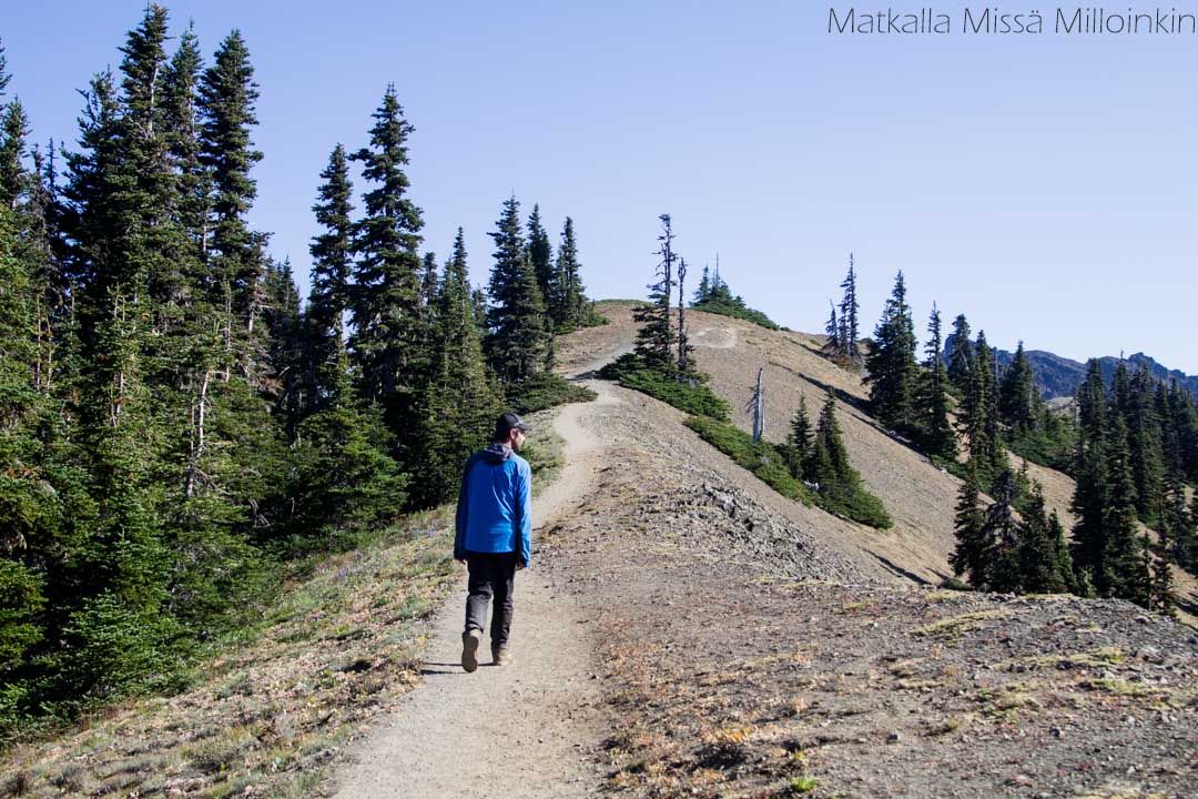 Olympicin kansallispuisto, Klahhane Ridge