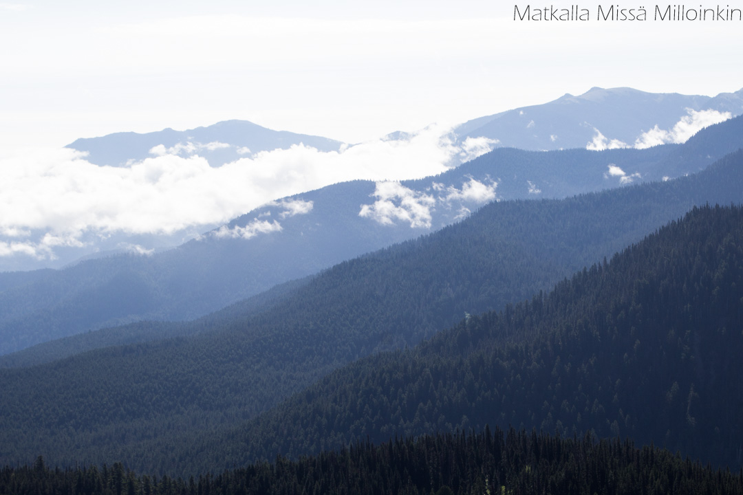 Hurricane Ridge, Olympicin kansallispuisto Yhdysvallat
