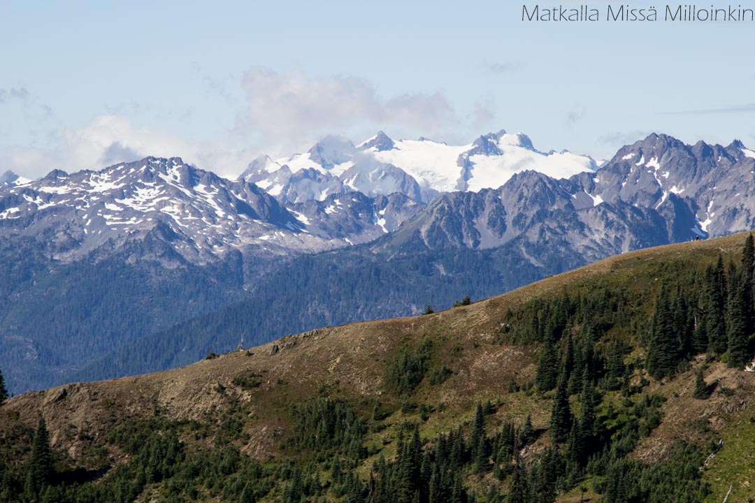 Olympicin kansallispuisto, Klahhane Ridge