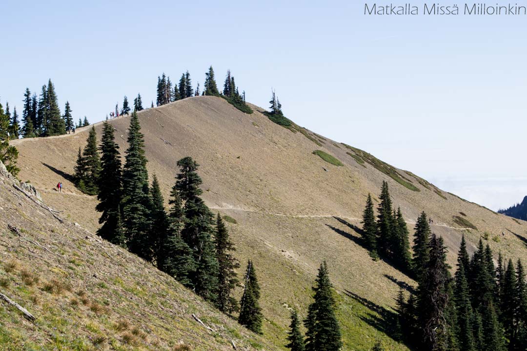 Olympicin kansallispuisto, Klahhane Ridge