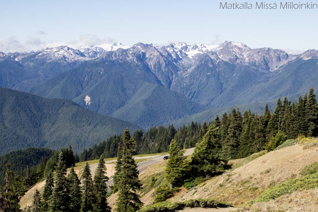 Olympicin kansallispuisto, Hurricane Ridge