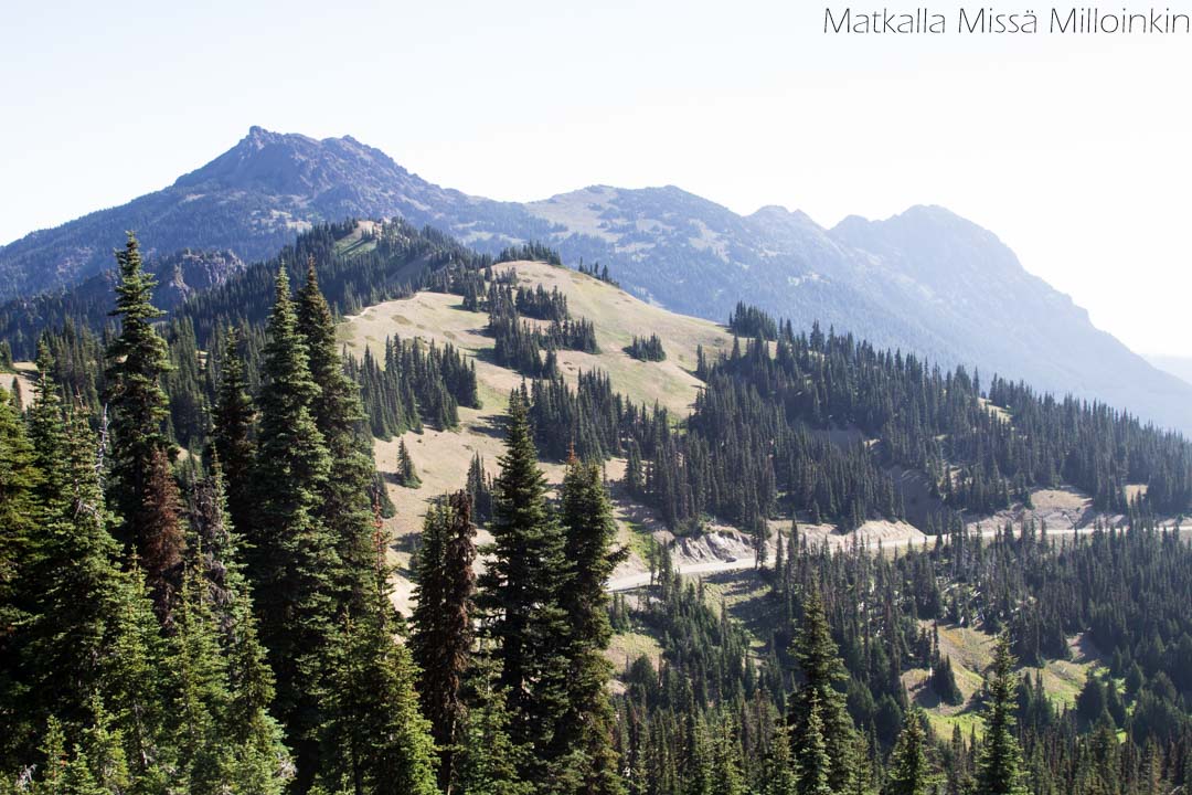 Olympicin kansallispuisto, Klahhane Ridge