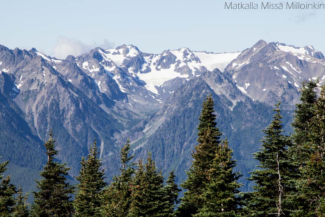 Olympicin kansallispuisto, Hurricane Ridge