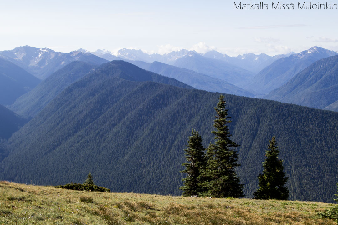 Olympicin kansallispuisto, Klahhane Ridge
