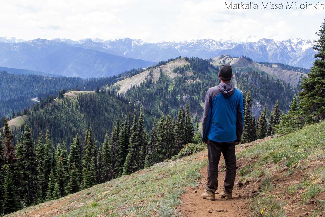Olympicin kansallispuisto Yhdysvalloissa, Klahhane Ridge