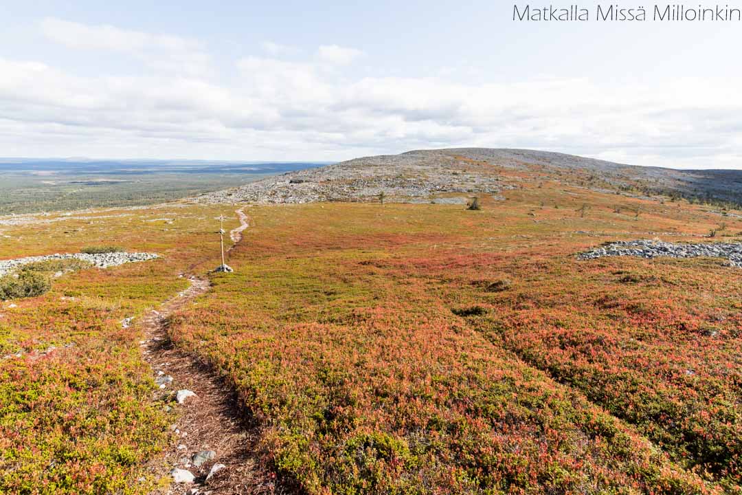 Moloslaen kierros, Pallas-Yllästunturin kansallispuisto-36 Moloslaen kierros, Pallas-Yllästunturin kansallispuisto syksyllä ruska-aikaan