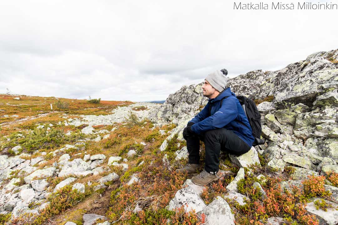 Moloslaen kierros, Pallas-Yllästunturin kansallispuisto syksyllä ruska-aikaan