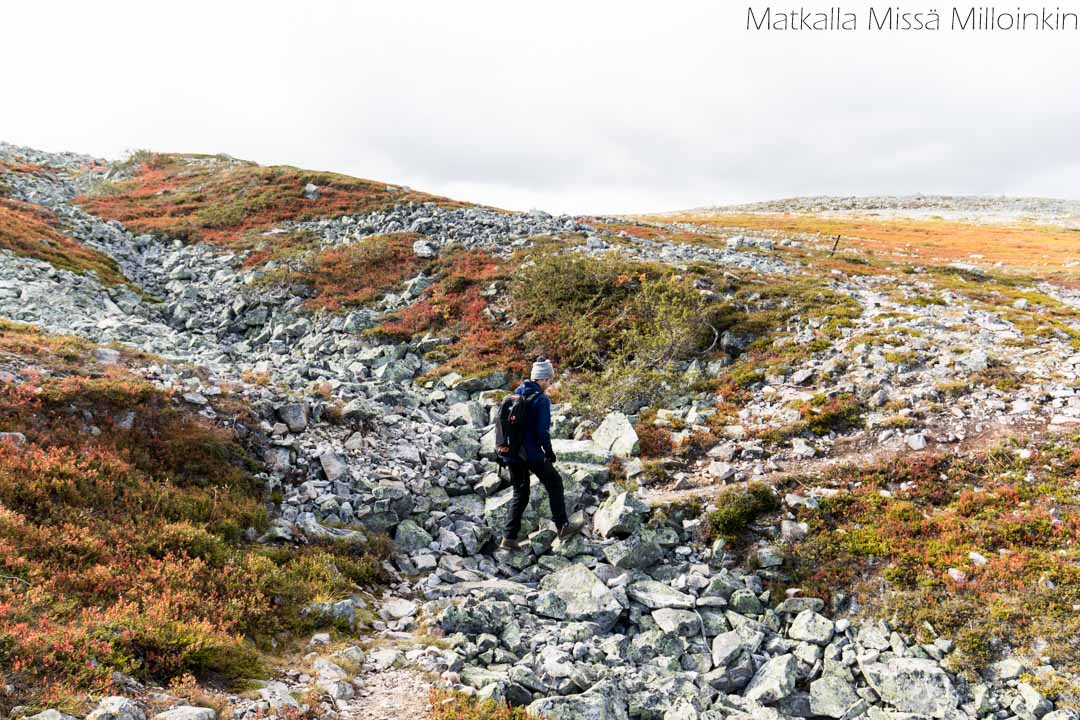 Moloslaen kierros, Pallas-Yllästunturin kansallispuisto-46 Moloslaen kierros, Pallas-Yllästunturin kansallispuisto syksyllä ruska-aikaan