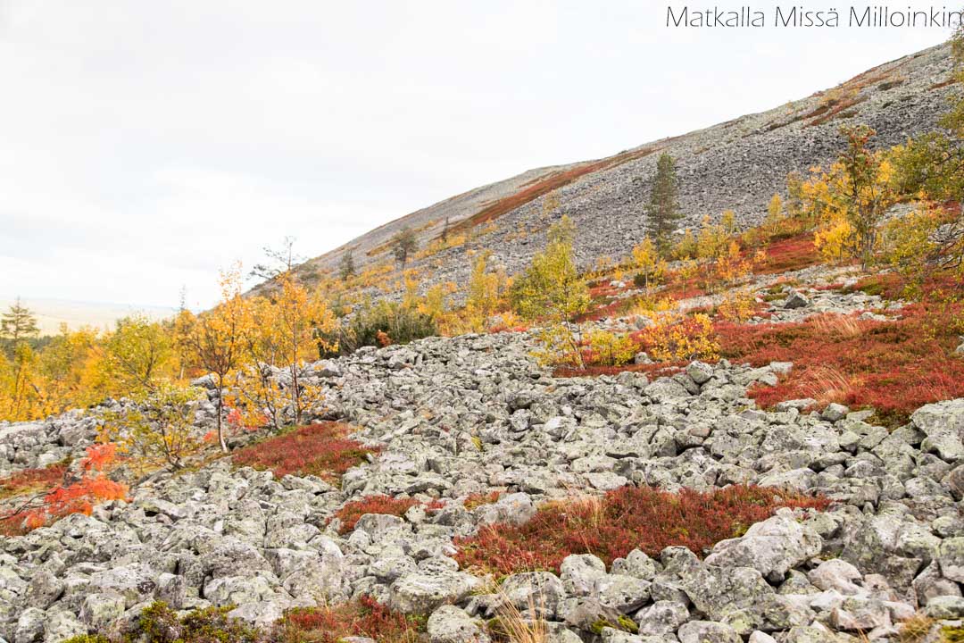 Moloslaen kierros ruska-aikaan syksyllä, Pallas-Yllästunturin kansallispuisto