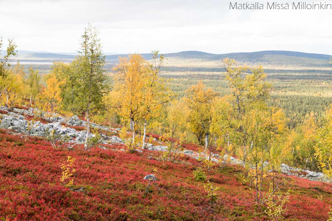 Moloslaen kierros, Pallas-Yllästunturin kansallispuisto-9 Moloslaen kierros ruska-aikaan syksyllä, Pallas-Yllästunturin kansallispuisto