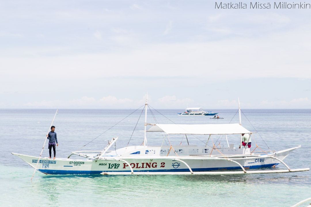 snorklausretki Boholista Pamilacan-saarelle, Filippiinit
