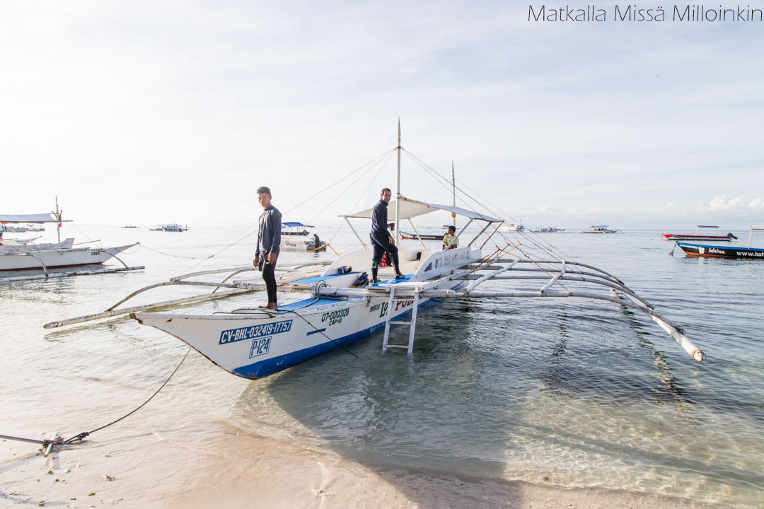 snorklausretki Boholista Pamilacan-saarelle, Filippiinit