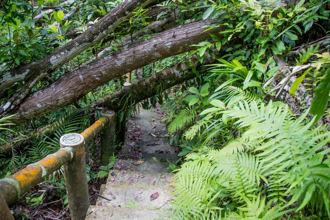 Mag-Aso -vesiputous, Bohol Filippiinit