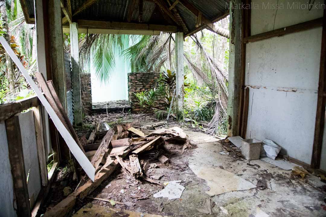 Monteverden yökävely, tarantella. Costa Rica.