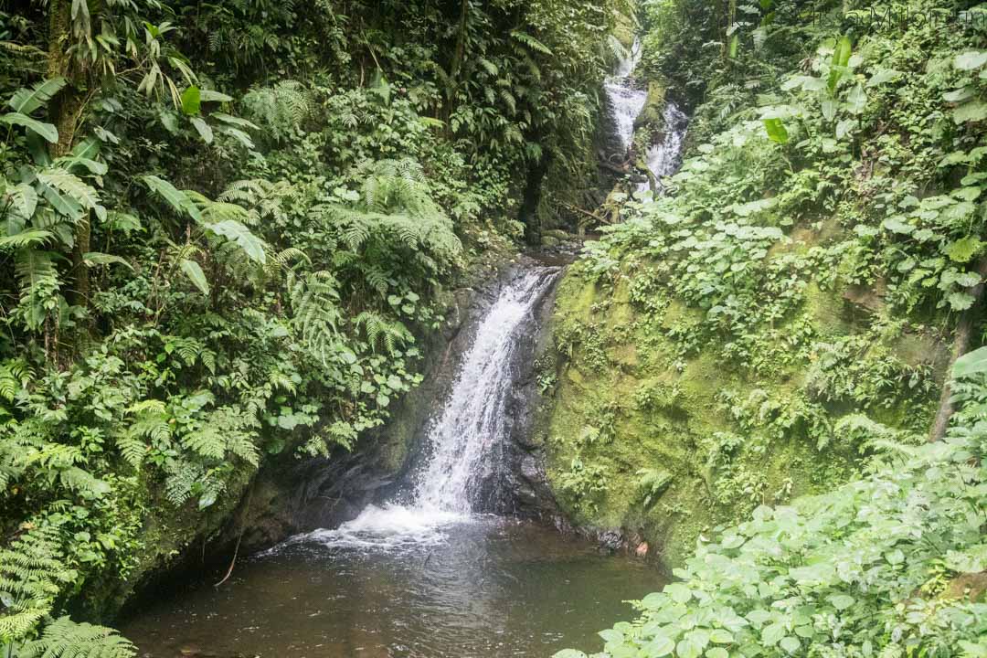 vesiputous, Monteverden pilvimetsä, Costa Rica