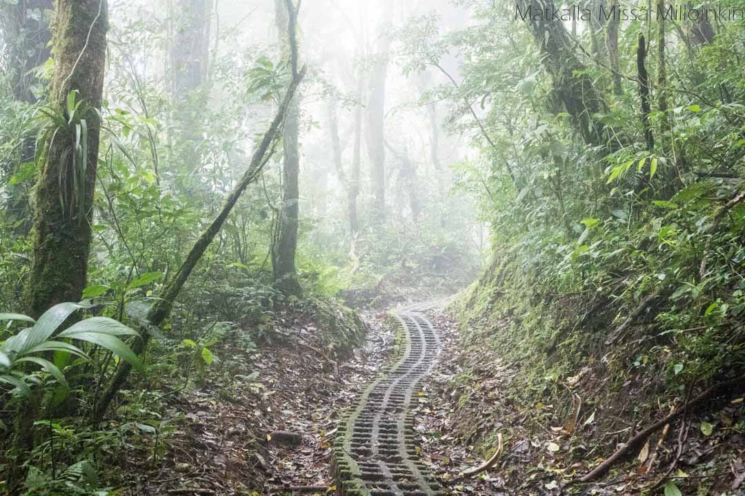 Monteverden pilvimetsä, Costa Rica
