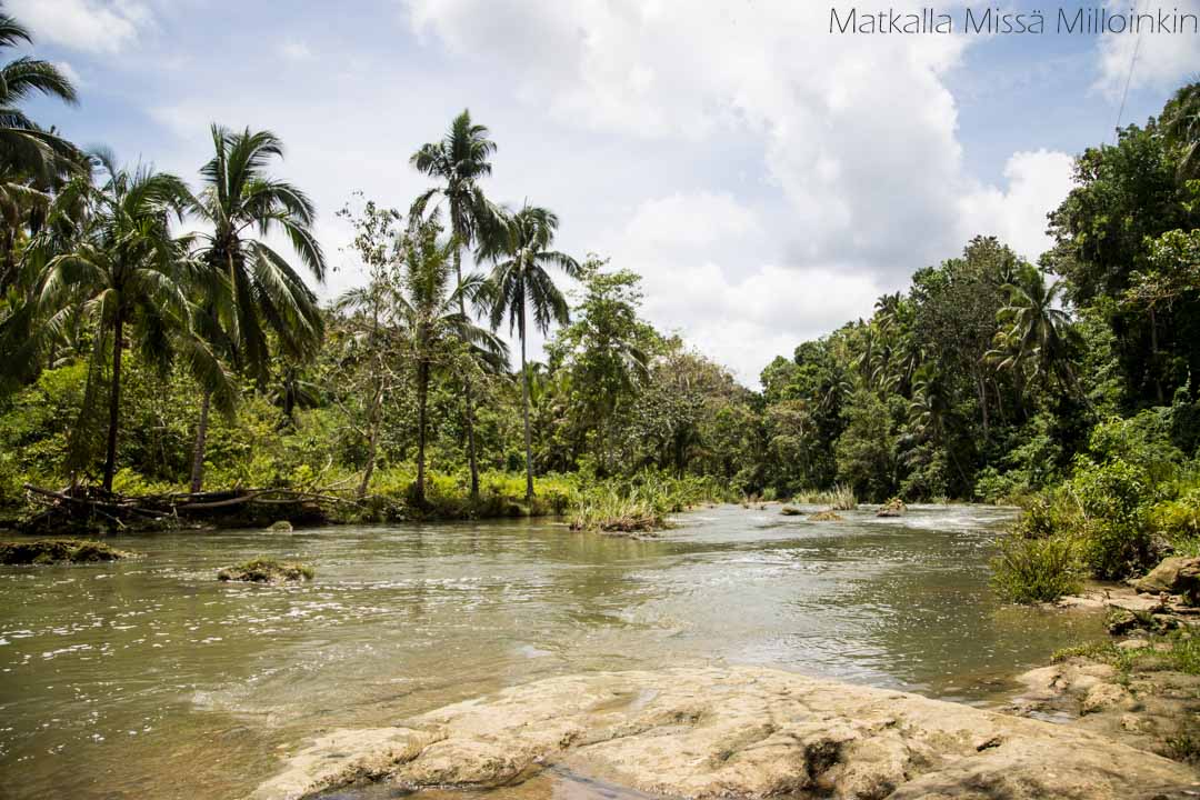 Monteverden pilvimetsä, Costa Rica