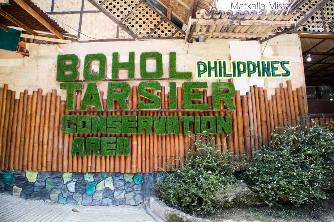 Tarsier Conservatorion Area, Bohol Filippiinit