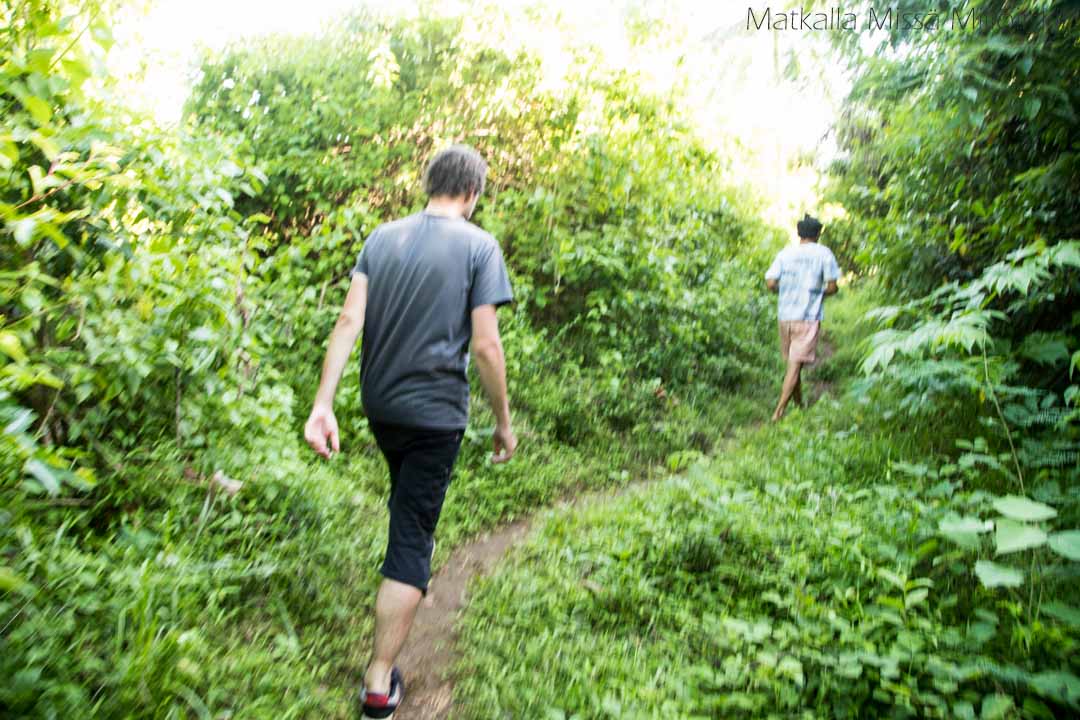 Philippine Tarsier Sanctuary, Bohol Filippiinit