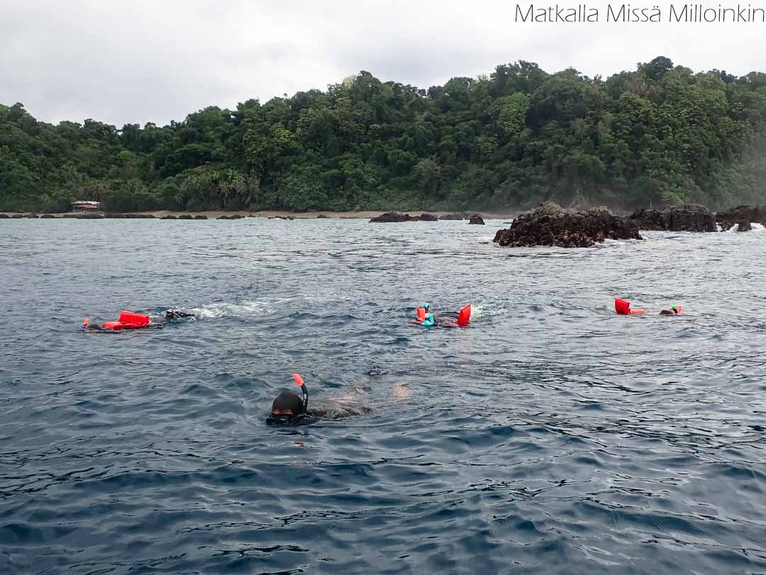 snorklaus Caño-saarella Costa Ricassa