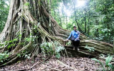 Corcovadon kansallispuisto – päivä 2