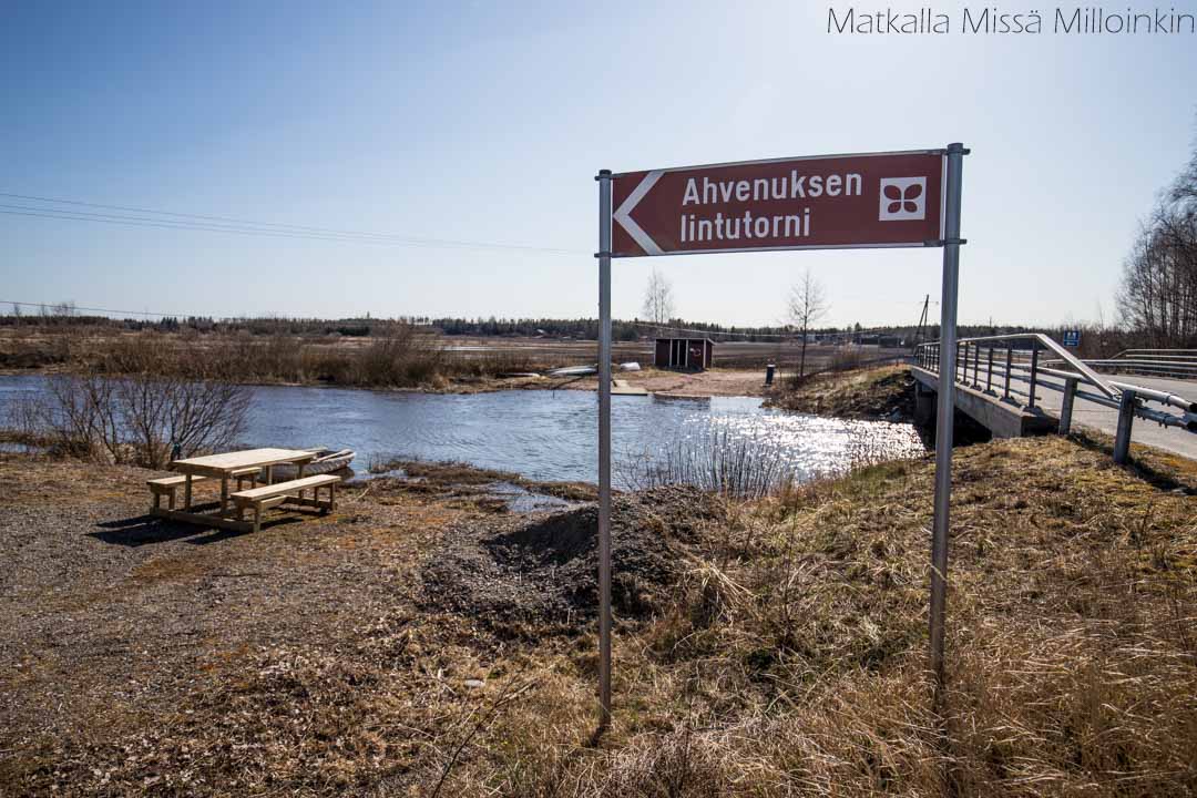 Ahvenuksen lintutorni-1 Jeturkasti, Teijon kansallispuisto