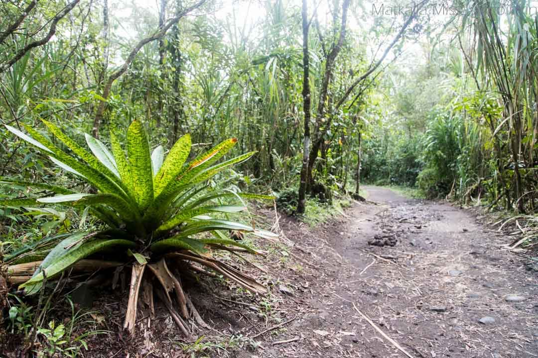 Arenal-tulivuoren kansallispuisto Volcano Sector, Costa Rica
