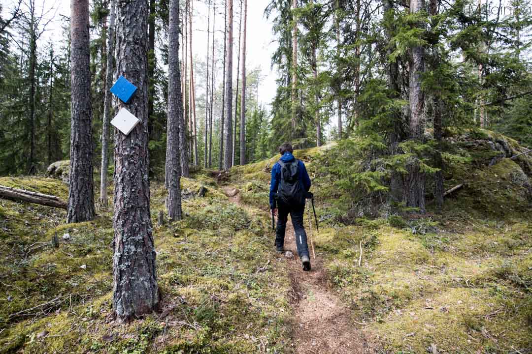 Isojärven kansallispuisto-114 Isojärven kansallispuisto