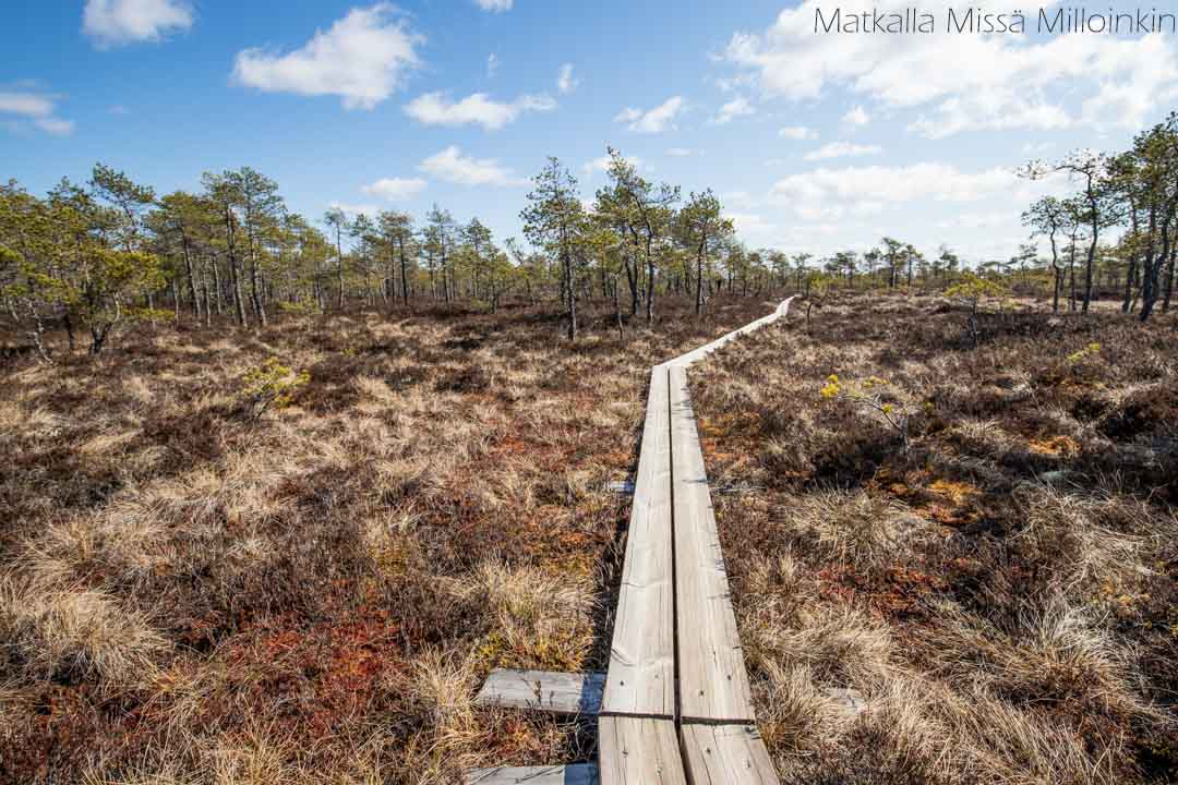 Puurijärvi-Isosuon kansallispuisto