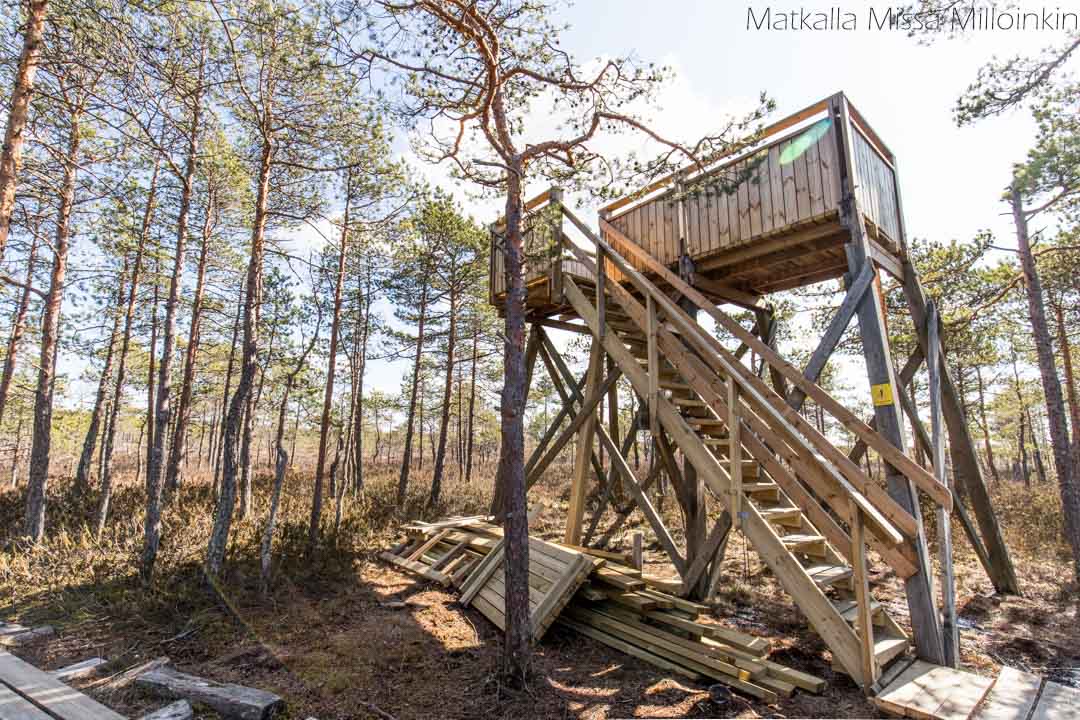 Isosuo-8 Puurijärvi-Isosuon kansallispuisto, näköalatorni