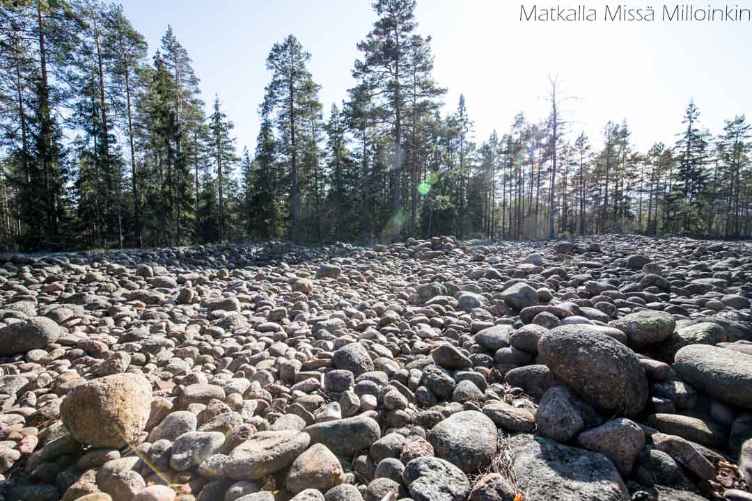 Jeturkasti, Teijon kansallispuisto