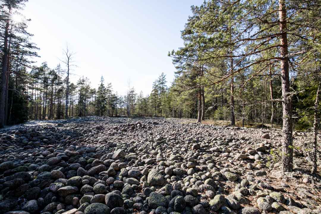 Jeturkasti, Teijon kansallispuisto